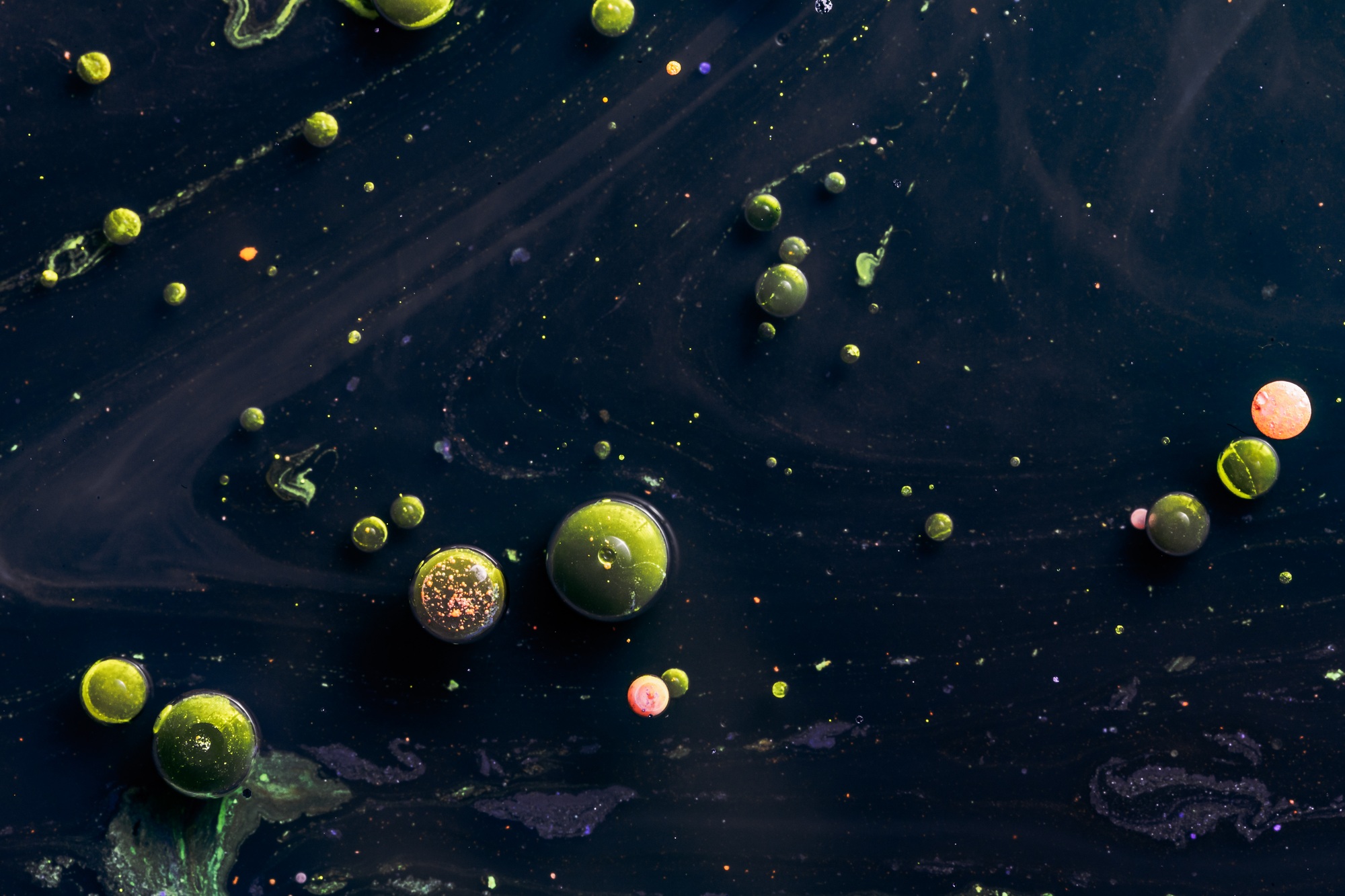 Parasites and Toxins